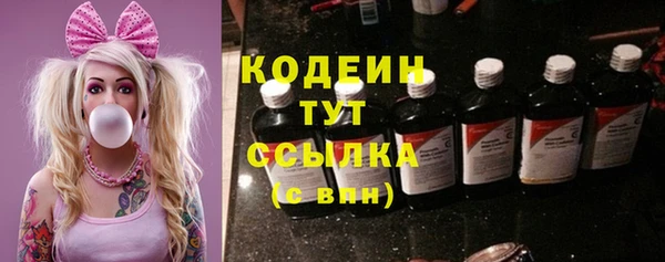 apvp Иннополис