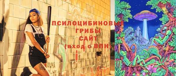 apvp Иннополис