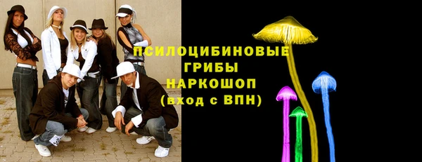 мяу мяу мука Инта
