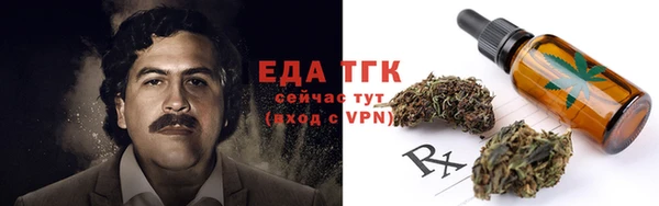 apvp Иннополис